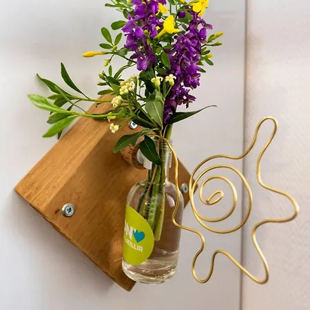 Petit Nid Cosy De L'albret Appartement Nérac