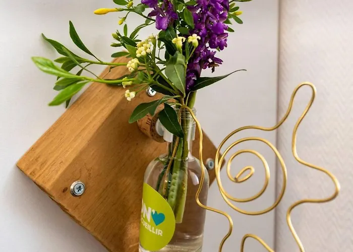 Petit Nid Cosy De L'albret Apartment Nérac